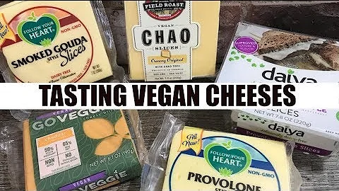 Vegan Cheese Review BEST & WORST of 5 Different Flavors