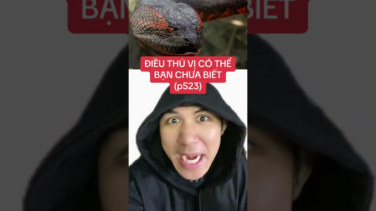 Trang chủ f8bet - Khám phá cổng game đẳng cấp với nhiều ưu đãi hấp dẫn