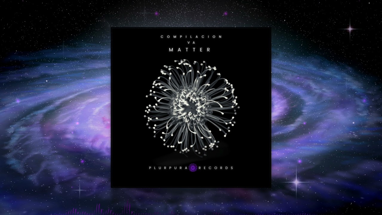 Plurpura Records - VA Compilation Matter - 03 Kaygee - Confluence