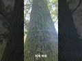 이끼아트
