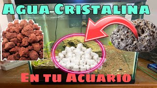 SECRETO para tener el AGUA CRISTALINA en tu  ACUARIO | AGUA CRISTALINA en mi PECERA