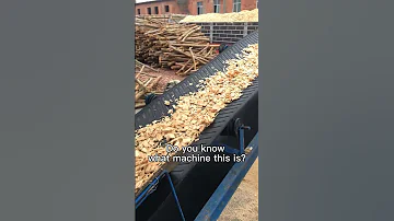 Wood Chips 
