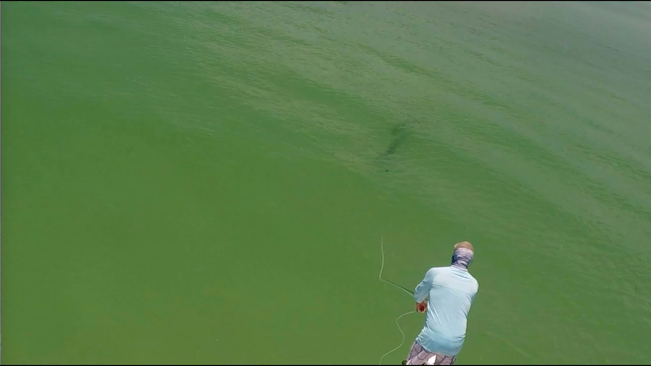 Fly Fishing Tarpon with Captain Russ Shirley (2020) 🌎
