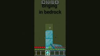 Java briging vs bedrock briging#like #comment #subscribe itzshadow