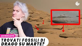 Trovato FOSSILE di DRAGO su MARTE?