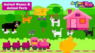 Animal Names and Facts - Jump into the Train and Explore the Magical World of Animals | Cubic Frog screenshot 5