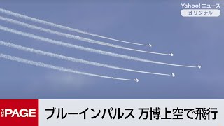 THE PAGE（ザ・ページ）の配信のサムネイル画像