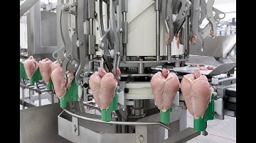 Meyn® Rapid Plus Breast deboner M4.3