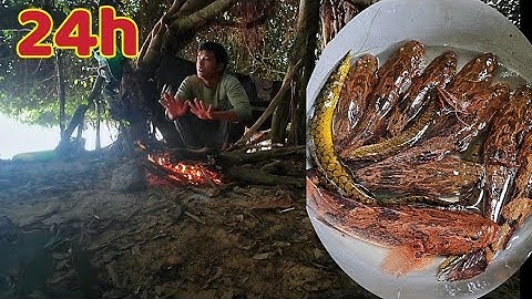 24h Câu Cá Cắm Trại / Thả Câu Được Rất Nhiều  Cá Bống Tượng ❤️❤️❤️