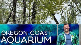 Discovery The Secrets of this Amazing Aquarium