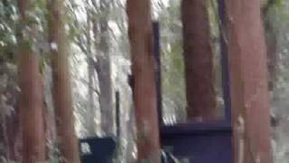 CIMAX20090118