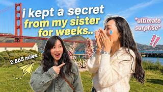 I SECRETLY flew across the U.S. for my sister’s engagement (emotional reaction)