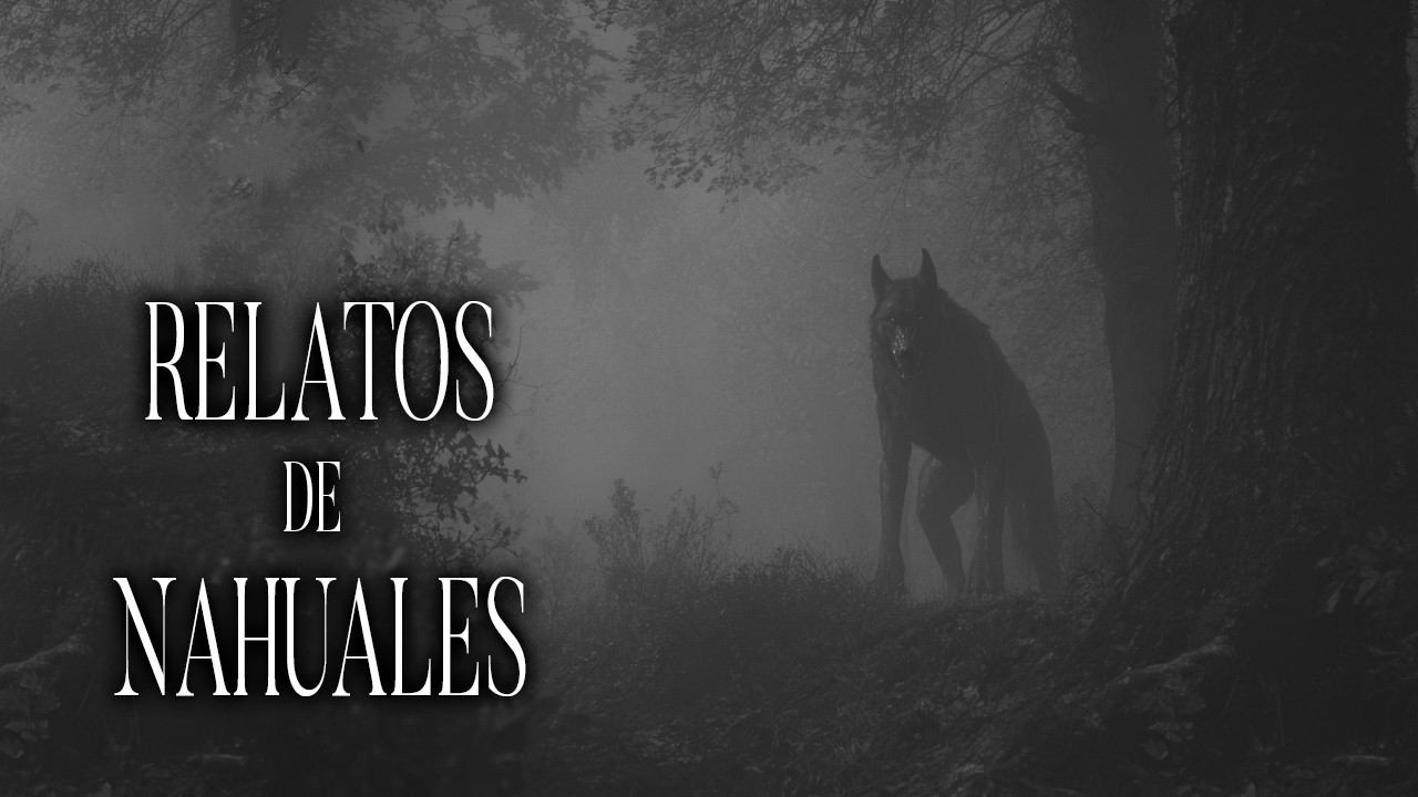 NAHUAL En El MAIZAL Historias De Terror - REDE
