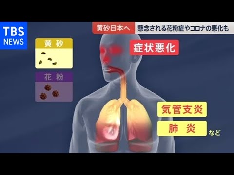 黄砂が日本到達か 花粉症や妊婦への影響は？