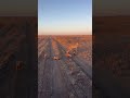 Rare Sighting of Cheetah Mother and Six Cubs