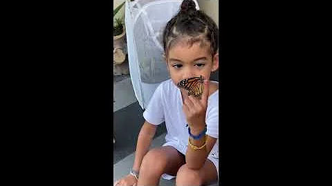 Chloe and Lucas hatch butterflies!