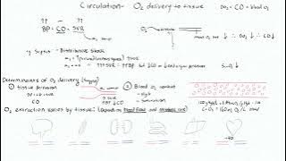 Cardiac 5 - Oxygen Delivery (DO2), VO2, CaO2, SVO2, ScVO2