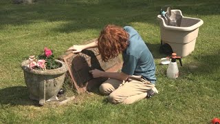 Meet the eighth grader running a small business at West Michigan graveyards