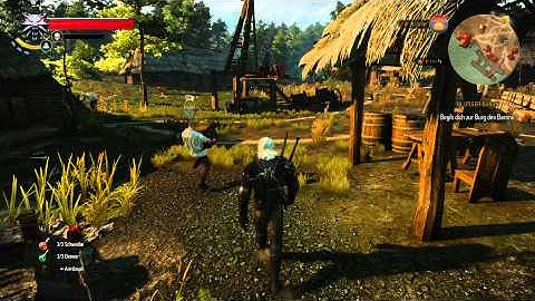 Witcher 3 (PC) BUG - crate carriers with bugged walking animations