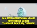 How COVID mRNA Vaccines Could Revolutionize Cancer Treatment: New Study Explained