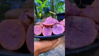 කන්න පින තියෙන්න|ceylon Amazing purple yam village potato? shorts tiktok trending    viral