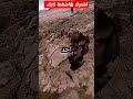 احداث غريبه ومحيره ستراها لاول مره