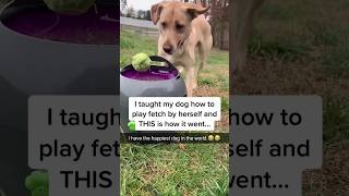 Smartest Dog Can Play Fetch By Herself
