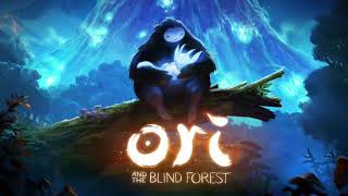 Ori and the Blind Forest: Lost in the Storm