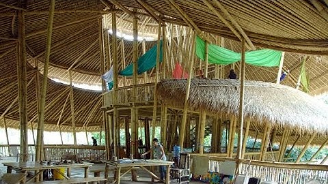 Bamboo and its role in the construction sector