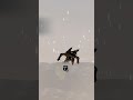 Assassins Creed- Strange sky fall glitch #assassinscreed #assassinscreedblackflag #videogames