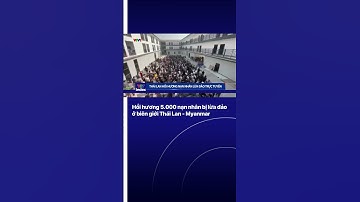 Hồi hương 5.000 nạn nhân bị lừa đảo ở biên giới Thái Lan - Myanmar | VTVIndex