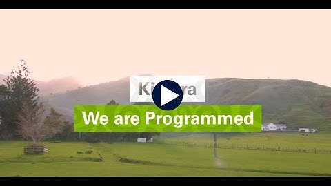 We are Programmed | New Zealand