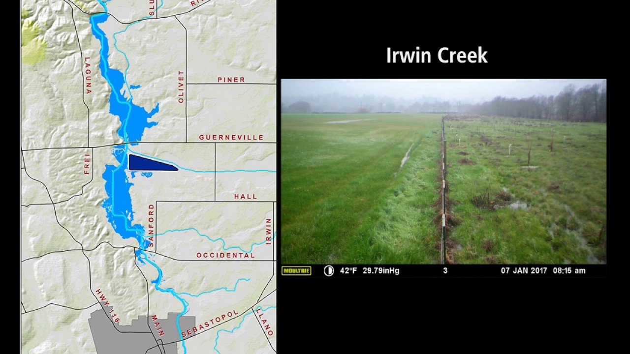 Flood Map for Lower Laguna de Santa Rosa