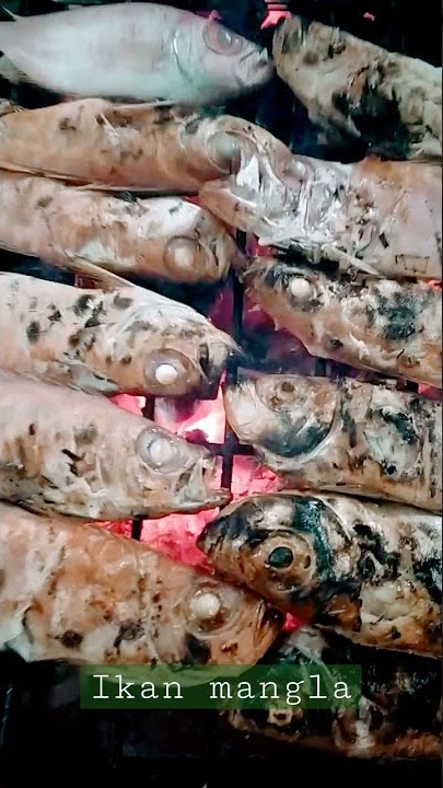 bakar ikan. menu malam ini