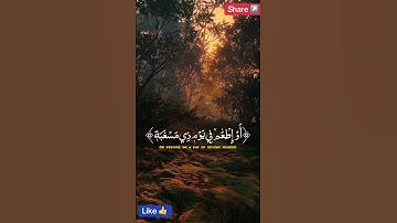 ‎تلاوت قرآن الكريم #قرآن_كريم #تلاوة #سورة #سبحان_الله #صباح_الخير #راحة_نفسية #رمضان #الله #محمد