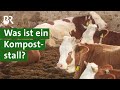 Kühe im Kompoststall | Unser Land | BR Fernsehen