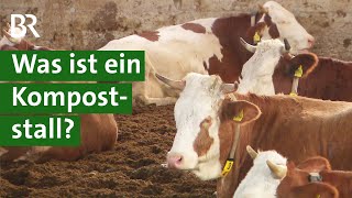 Sägespäne als Einstreu: So funktioniert ein Kompoststall | Kuhstall Doku | Unser Land | BR