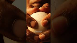 These Shells Are SO Satisfying to Crack #ASMR #BrainMelt #Trending