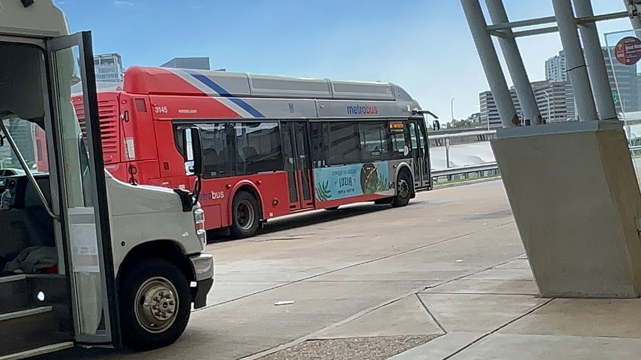 WMATA 2018 New Flyer Xcelsior XN40 #3145 on route A66
