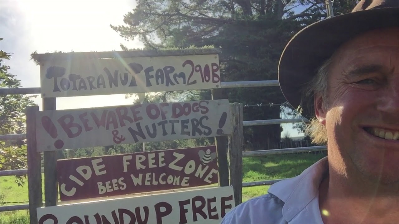 NZ Trees on Totara Nut Farm - Part 1 (The Famous Five)