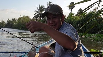 Rủ vợ đi câu cá sông | Săn bắt SÓC TRĂNG |