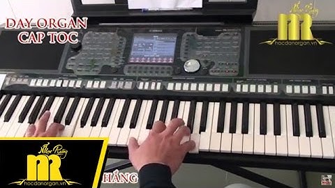 Học Đàn Organ Cấp Tốc TPHCM - VÌ ĐÓ LÀ EM - Trung Tâm Nhạc Rừng