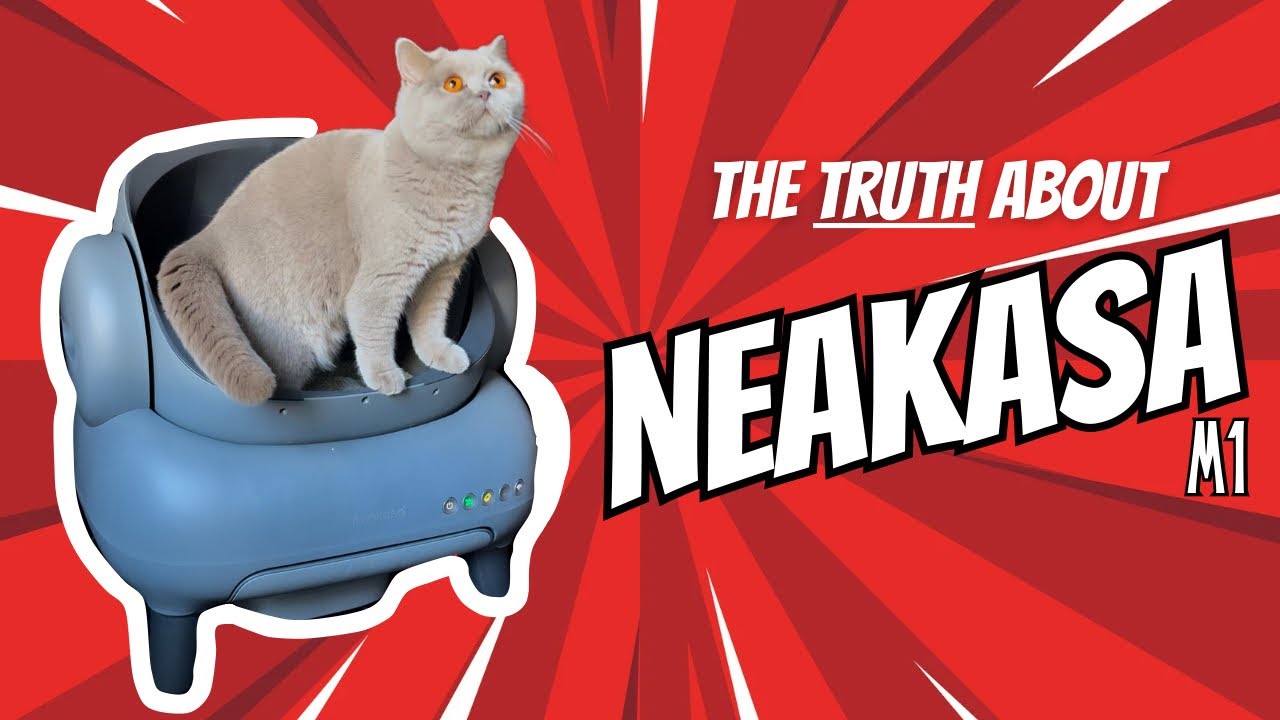 A Neakasa M1 Review | Is it Worth it?