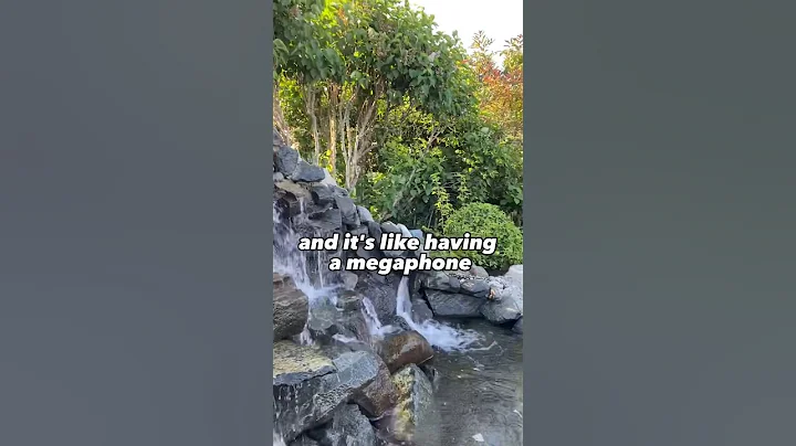 Landscape HACK: Use a Water Feature to Drown Out Freeway Noise in Your Backyard!