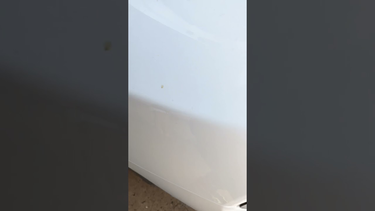 2021 Dodge Charger GT DB Drive WDX G1 12s and 1500 watt euphoria amp