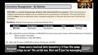 Lesson 6-4: Inventory Management by Serial Numbers Part 2 & Inventory Management by Batches Part 1 screenshot 2
