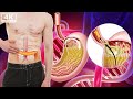 Eliminate Digestive Diseases No More Gastric Reflux Immediately Restore Internal Organs 1 Eliminate Digestive Diseases No More Gastric Reflux Immediately Restore Internal Organs 1