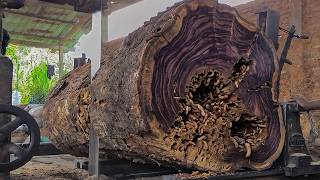 Hard Work in the Tropics Processing Giant Trembesi Wood Logs