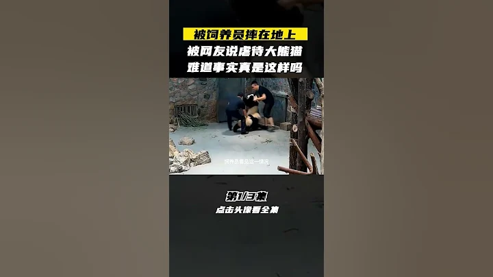 Pt1/3 将熊猫重重摔在地上，被网友指责虐待熊猫，难道真的是这样吗 #大熊猫#国宝大熊猫#熊猫福宝 #shorts - 天天要闻