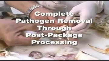 HPP Lobster Video